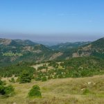 Panorama salendo al Monte Poggio